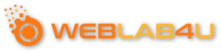 WEBLAB4U Think Digital logo
