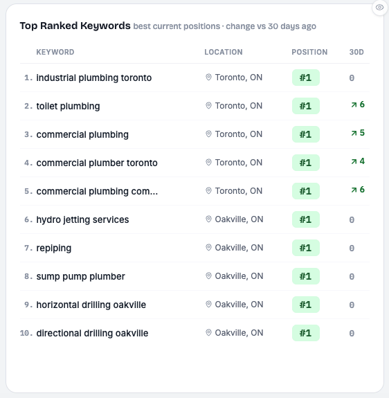 Top ranked keywords report showing ten plumbing terms holding position one across Toronto and Oakville